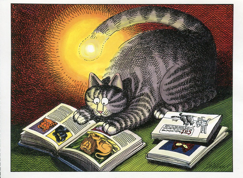 Виртуальное путешествие - "Кошки с книжной обложки"