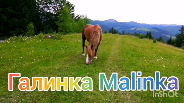 Мы родились в Сибири /Пришлось идти на поклон/Обзор Влогов /Мы родились в Сибири Life /