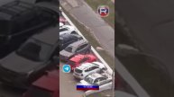 Нападение коз в Бутово на машину — новое поколение обучается паркуру