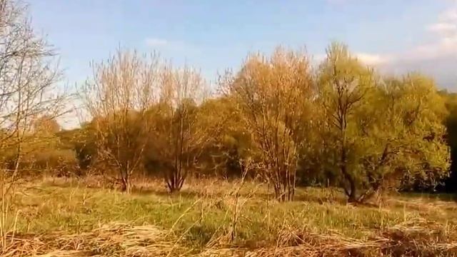 7ой день в деревне. Работа на участке. Прогулка. Речка