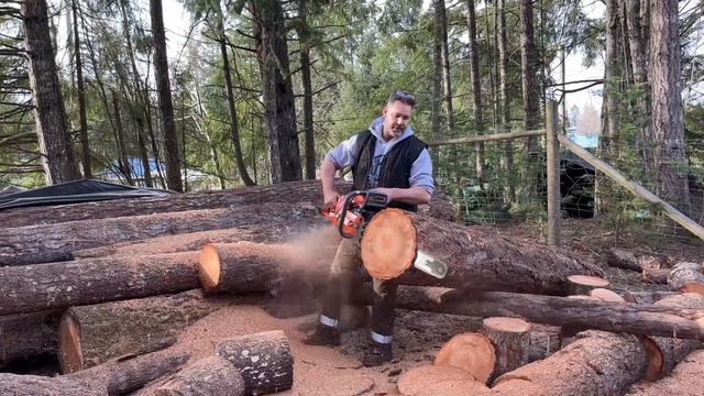 Chainsaw race - stock muffler vs. Custom muffler