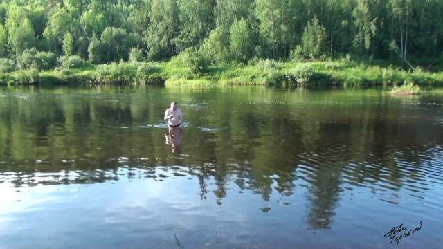 Новый подход к ловле окуня / The perch catching know-how