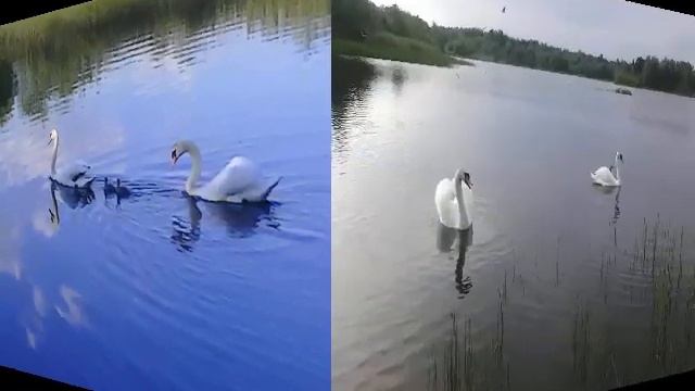 Мой край родной...