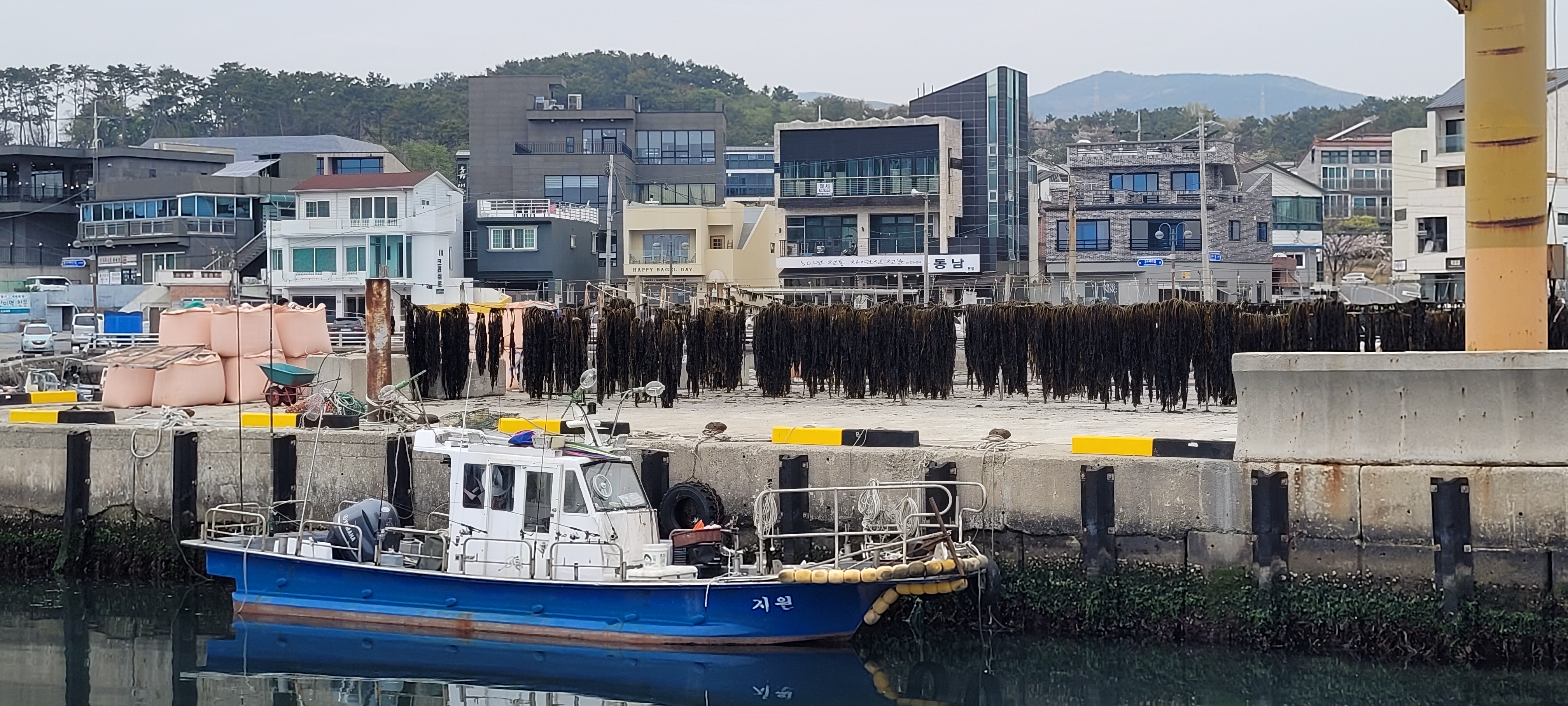 Корея. Пусан. Рыболовная пристань