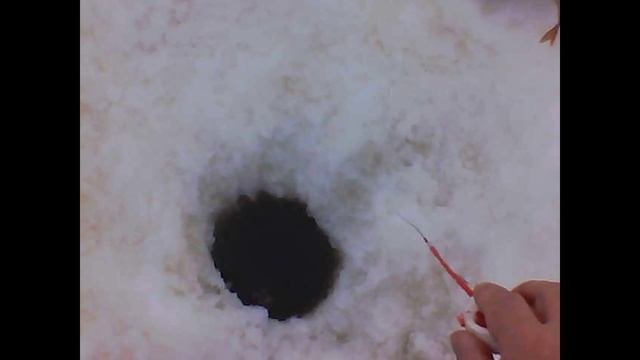 тестирование новой мормышки клоп.avi