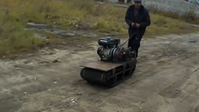 собачка на поводке