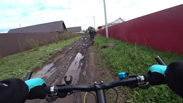 В пойсках Ежевики