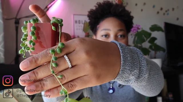 Plant Unboxing & Reaction | Etsy Plant Haul