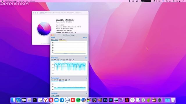 MACOS BIG SUR 11.5.2 / MACOS 12 MONTEREY BETA 5 / HACKINTOSH!