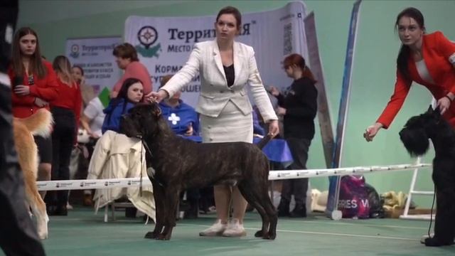 Максимус?