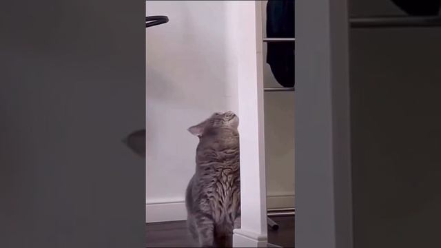 Доброе утро🤣🤣🤣