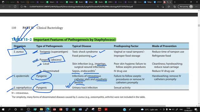 Staphylococcus | Gram Positive Cocci | Systemic Bacteriology | Microbiology