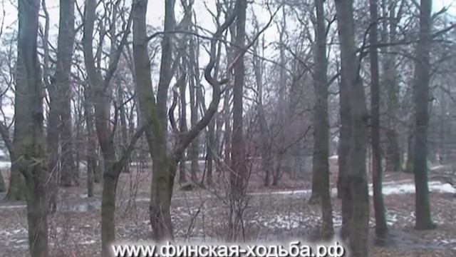 Здравствуйте люди... Скандинавская ходьба на Елагином, Санкт-Петербург, 16 февраля 2014 года.