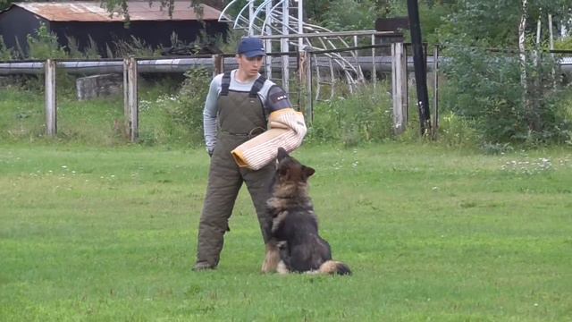 Арон - лобовая атака и конвоирование IPO training