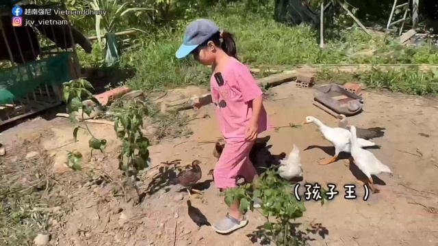 貧窮的越南山居生活？山豬「踐踏」民房？沒訊號的荒野求生！外國人絕對沒來過的地方 Bị “ Lạc “ Giữa Rừng 1 đêm Bạn Sẽ Làm Gì 【越南強尼】