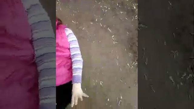 Аринаа упала с качели!?!!??!??!!??!!!???!??!!??!?