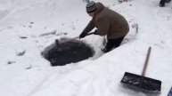 Разбираем лёд для проруби