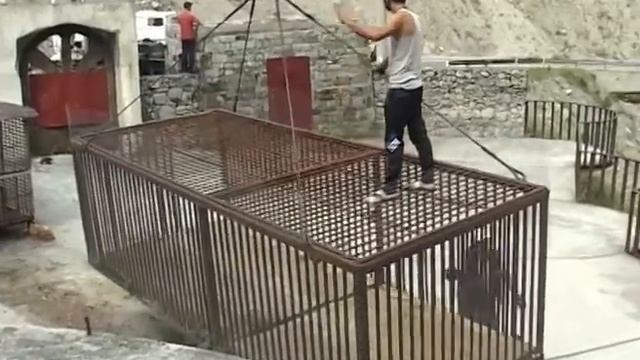 Подарок зоопарку в Фиагдоне