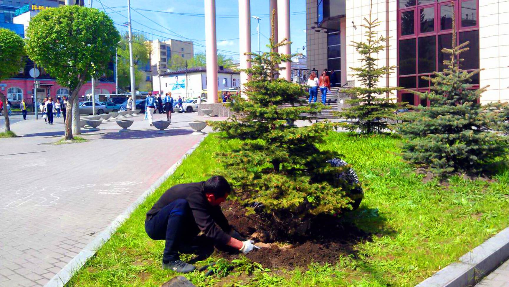 Городское озеленение: как сделать город лучше?