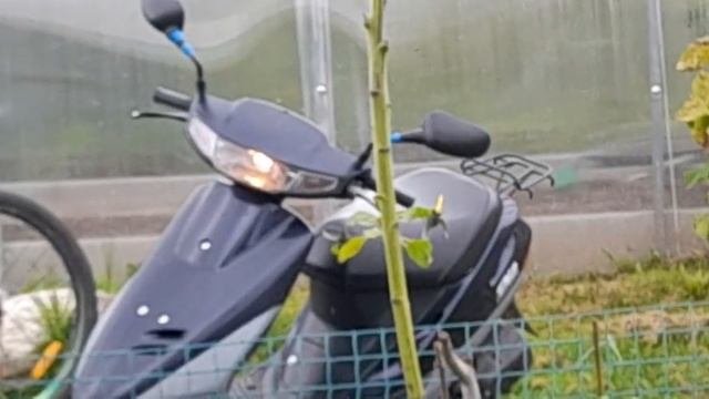 Honda Dio 27 обзор