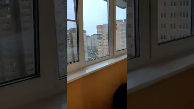 Лот 5731