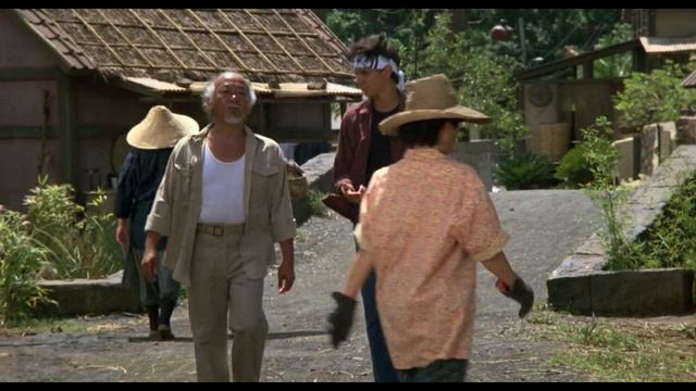 the karate kid part 2  1996 Film Explained in Hindiहनद