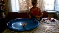 Бэй Блейд выбух,Инфинити надо vs роктавор и спрайзен