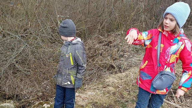 "Облфинотдел"