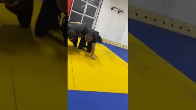В народе такую позицию называют собачьей возней, преимущества нет ни у кого. Решает техника.