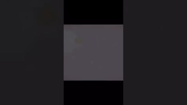 VID-20231106-WA0002.mp4