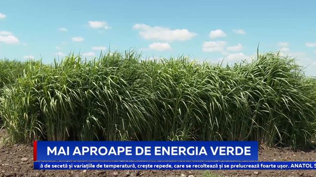 MAI APROAPE DE ENERGIA VERDE