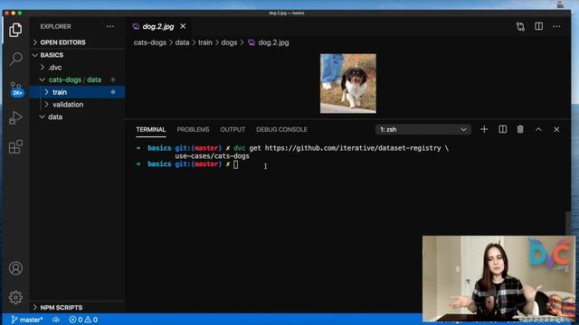 Sharing Data and Models with DVC (Hands-On Data Science Tutorial!)