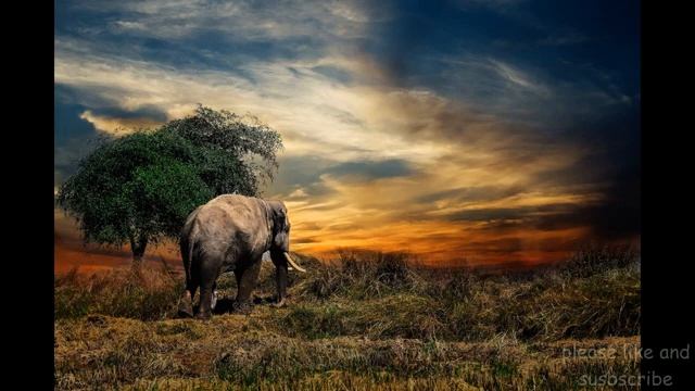 soothing jazz music saxophone - Soft Piano for Relaxation and Study