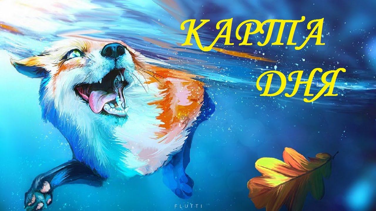 КАРТА ДНЯ 12 ЯНВАРЯ ГОРОСКОП ТАРО