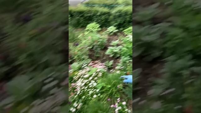 Работала на клумбе