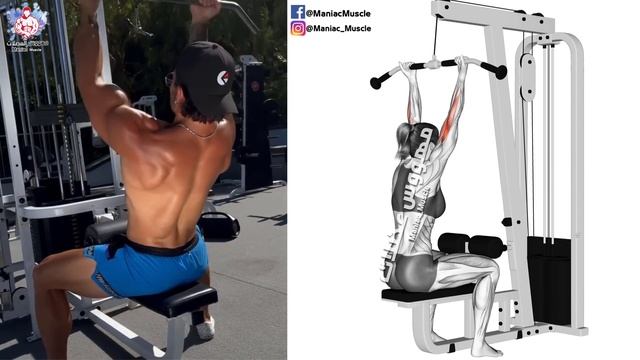 BEST 6 EXERCISE TO WIDER BICEPS WORKOUT