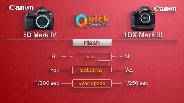 CANON 5D Mark IV vs CANON 1DX Mark III | Quick Camera Comparison | Which Is Best????