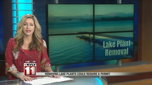 Removing Lake Plants Could Require A Permit