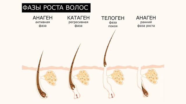 Онлайн-курс 
