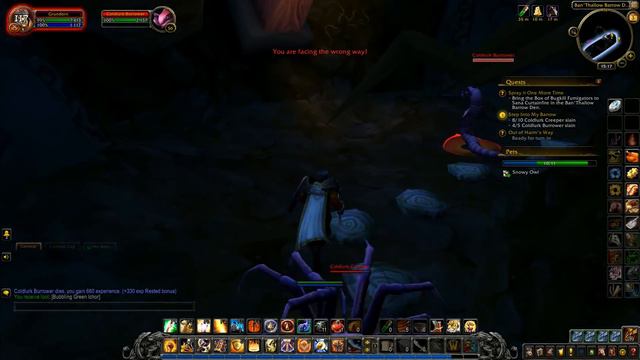 Let's Play World Of Warcraft #69: Ice Kitties!