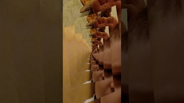 1675608542913.mp4