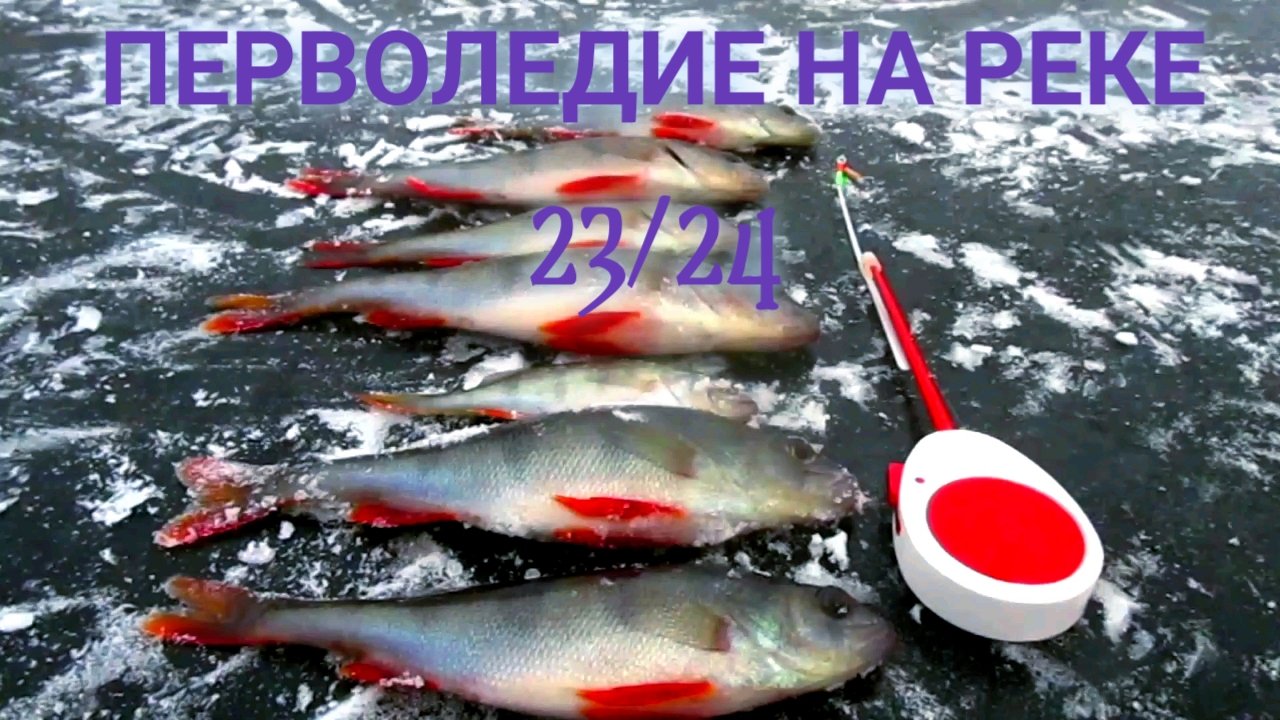 РЫБАЛКА ПО ОКУНЮ НА РЕКЕ! ЗАМЕЧАТЕЛЬНЫЕ ПОДВОДНЫЕ КАДРЫ!
