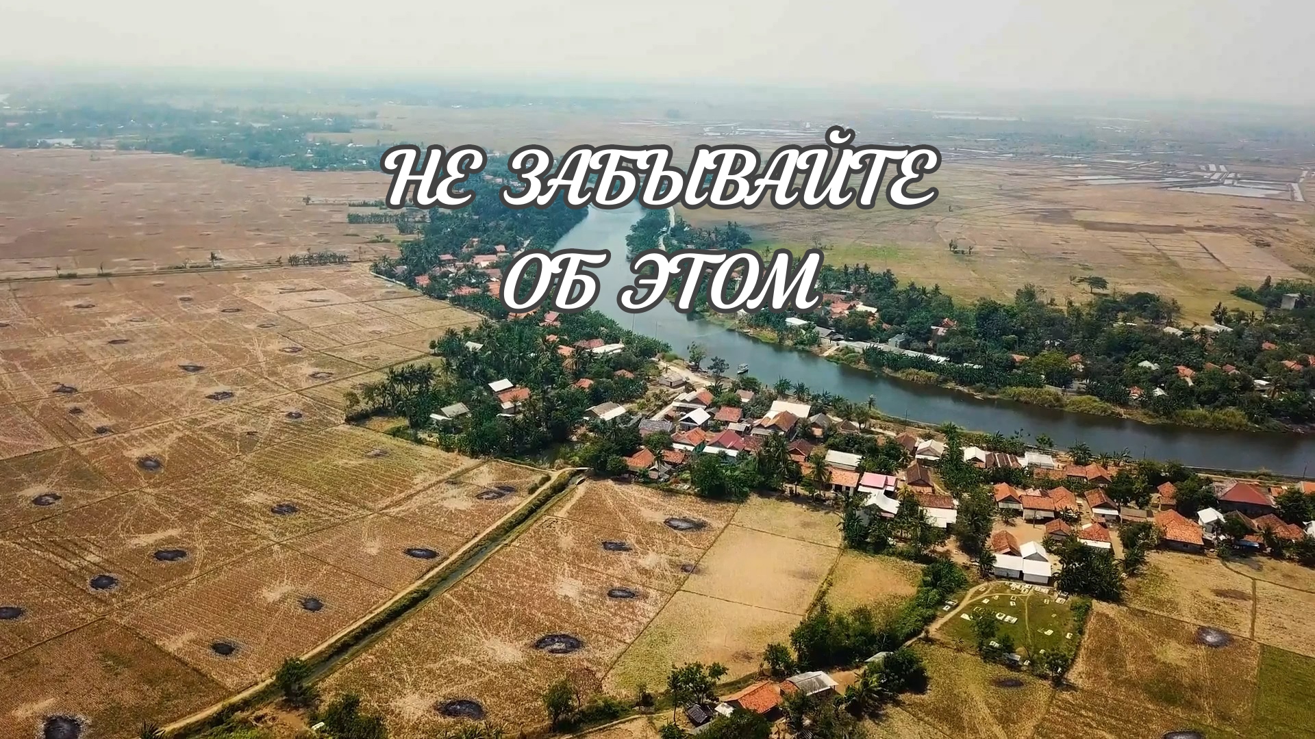 Деньги удовлетворят ваши желания, но не заменят вам цель и мечту | Душевно135 | Душевное видео