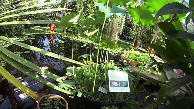 ВЛОГ : СУПЕР МАСЛО ОТ ЦЕЛЛЮЛИТА , БОТАНИЧЕСКИЙ САД В ОСЛО