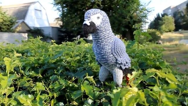 African Gray Parrot Crochet Toy Amigurumi