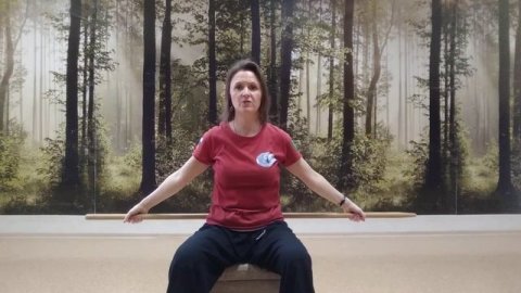 Цигун с палкой для начинающих 1 часть