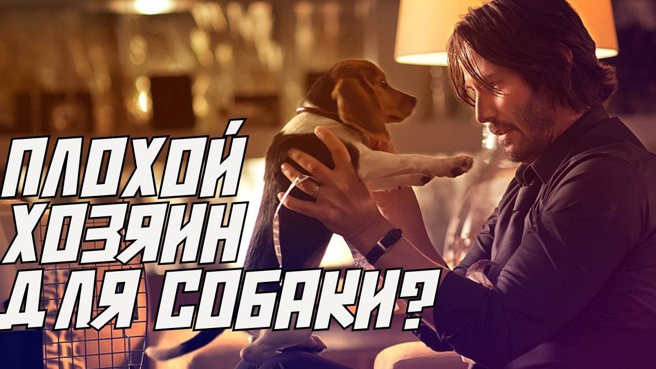 КТО САМЫЙ КРУТОЙ ВЛАДЕЛЕЦ СОБАКИ В КИНО?