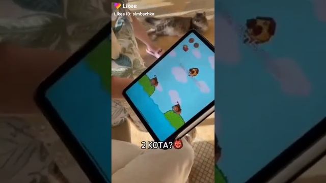 12 сентября 2022 г.