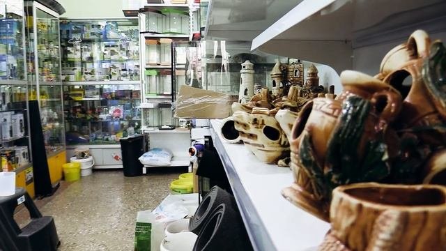 Куда переехал зоомагазин из универмага?