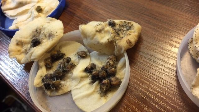 Семена из АЛИЭКСПРЕСС ЧАСТЬ 2